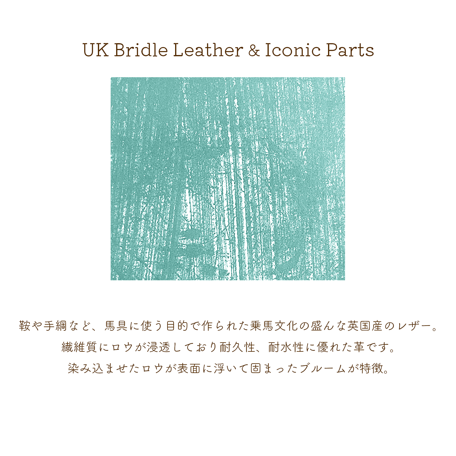 [予約商品]Dual UKブライドル ギャルソンコンパクトウォレット[DCr-1050LTD]